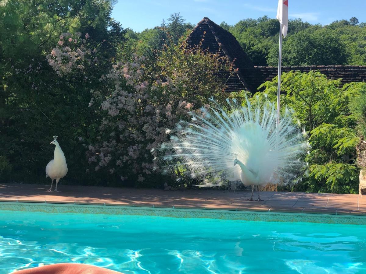 Bed & Breakfast Le Noyer Résidence 3*